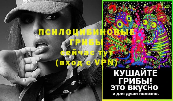 дмт Алексеевка