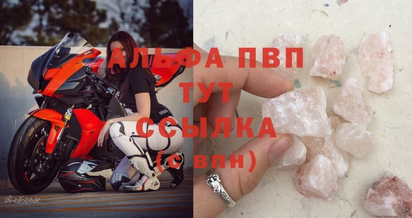 СК Алексин
