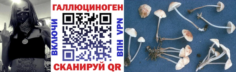 Галлюциногенные грибы прущие грибы  купить наркоту  Покров 
